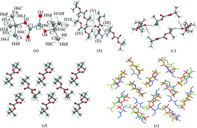 [Figure 5]