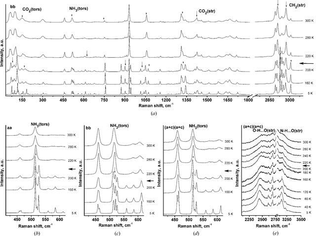 [Figure 7]