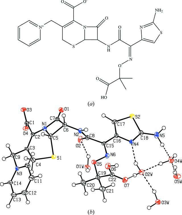 [Figure 1]