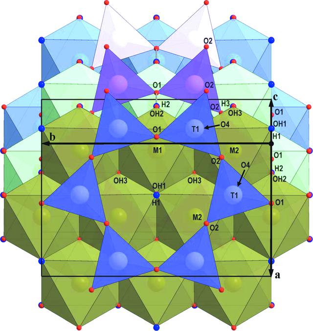 [Figure 4]