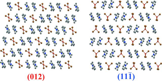 [Figure 12]