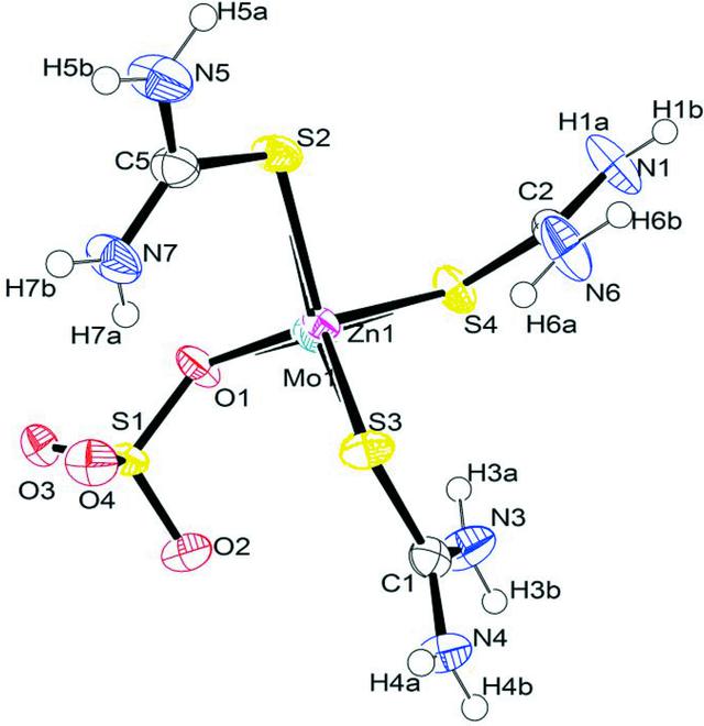 [Figure 1]