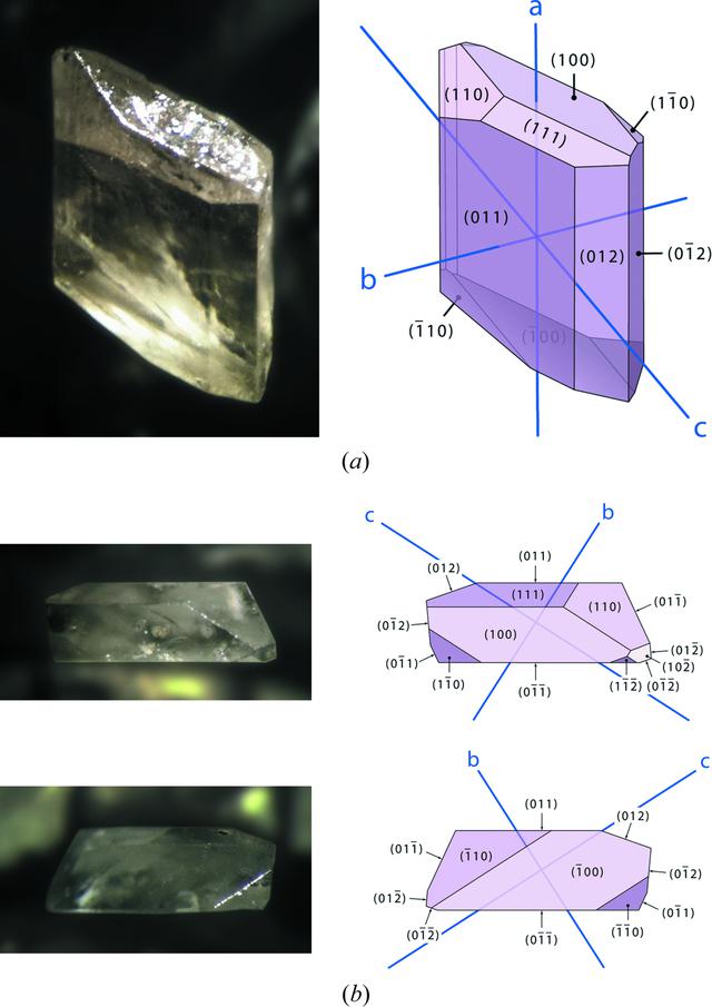 [Figure 2]