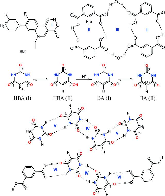 [Figure 1]