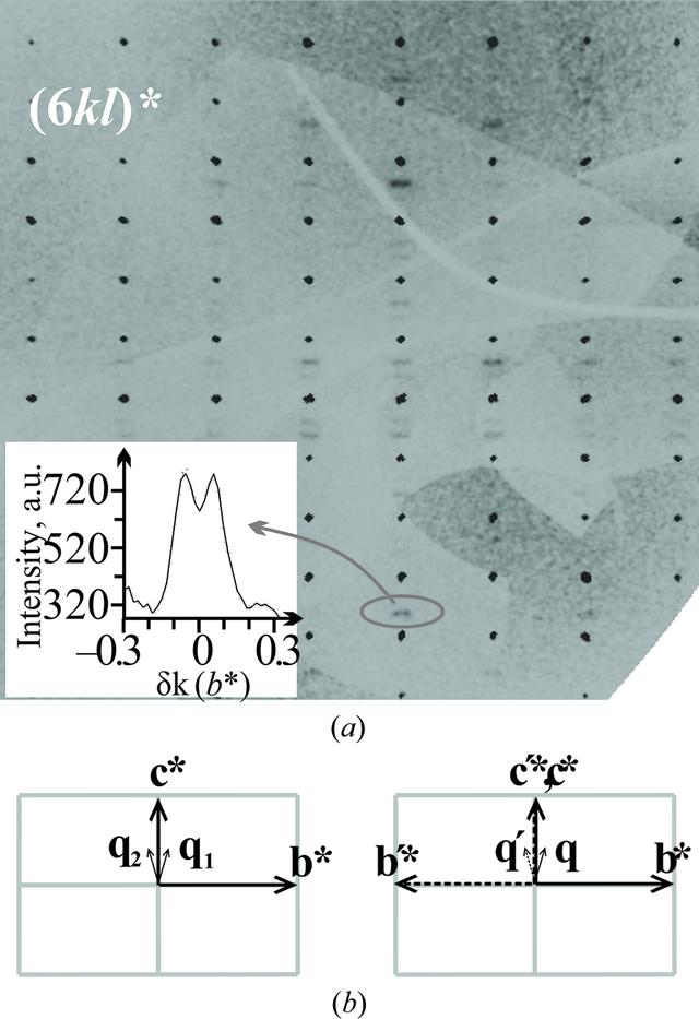 [Figure 1]