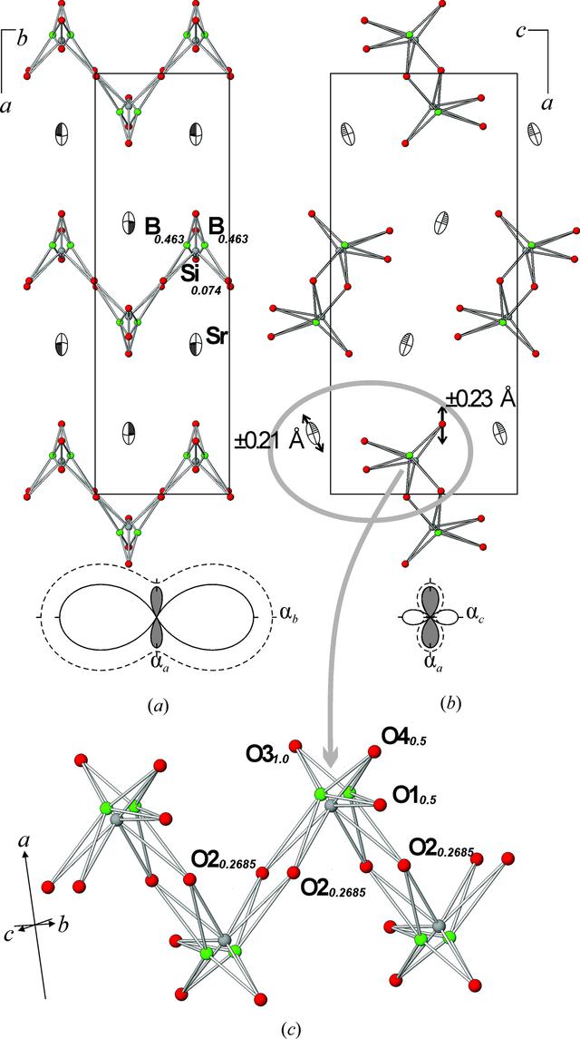 [Figure 4]