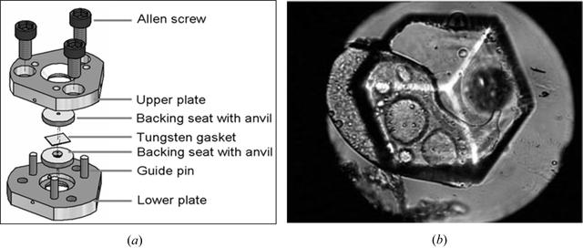 [Figure 1]