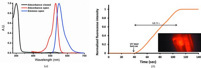 [Figure 10]