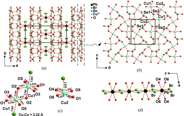 [Figure 5]