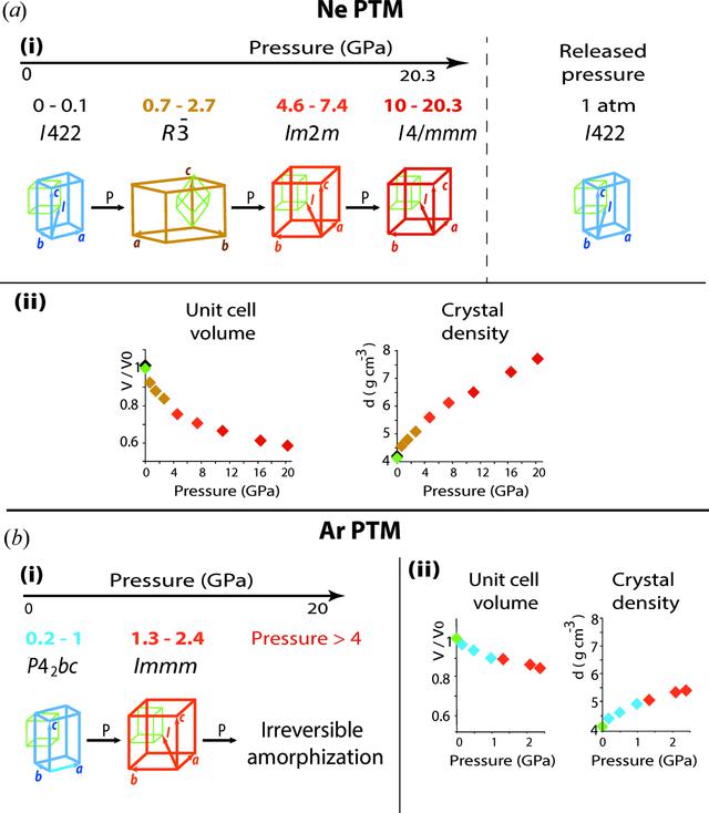 [Figure 4]