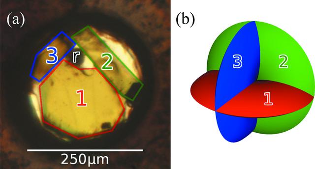 [Figure 2]