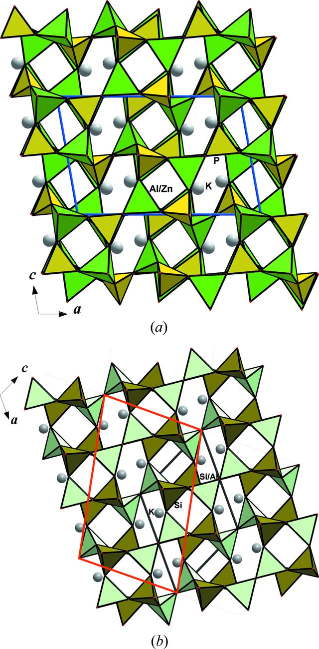 [Figure 8]