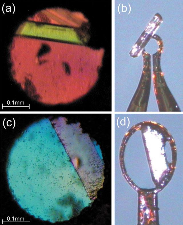 [Figure 3]