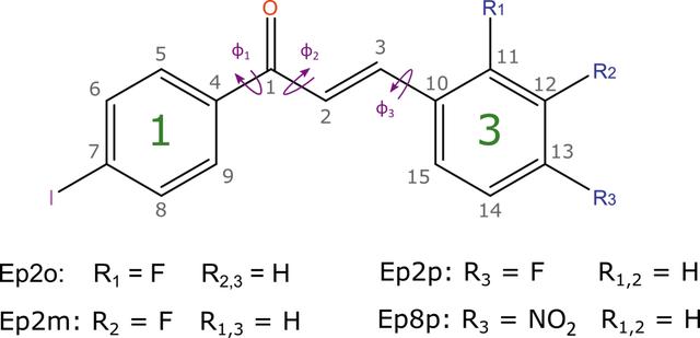 [Figure 1]