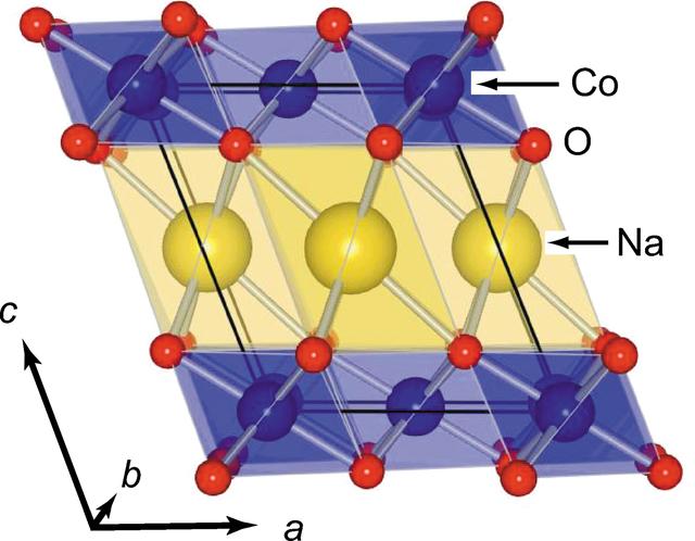 [Figure 1]