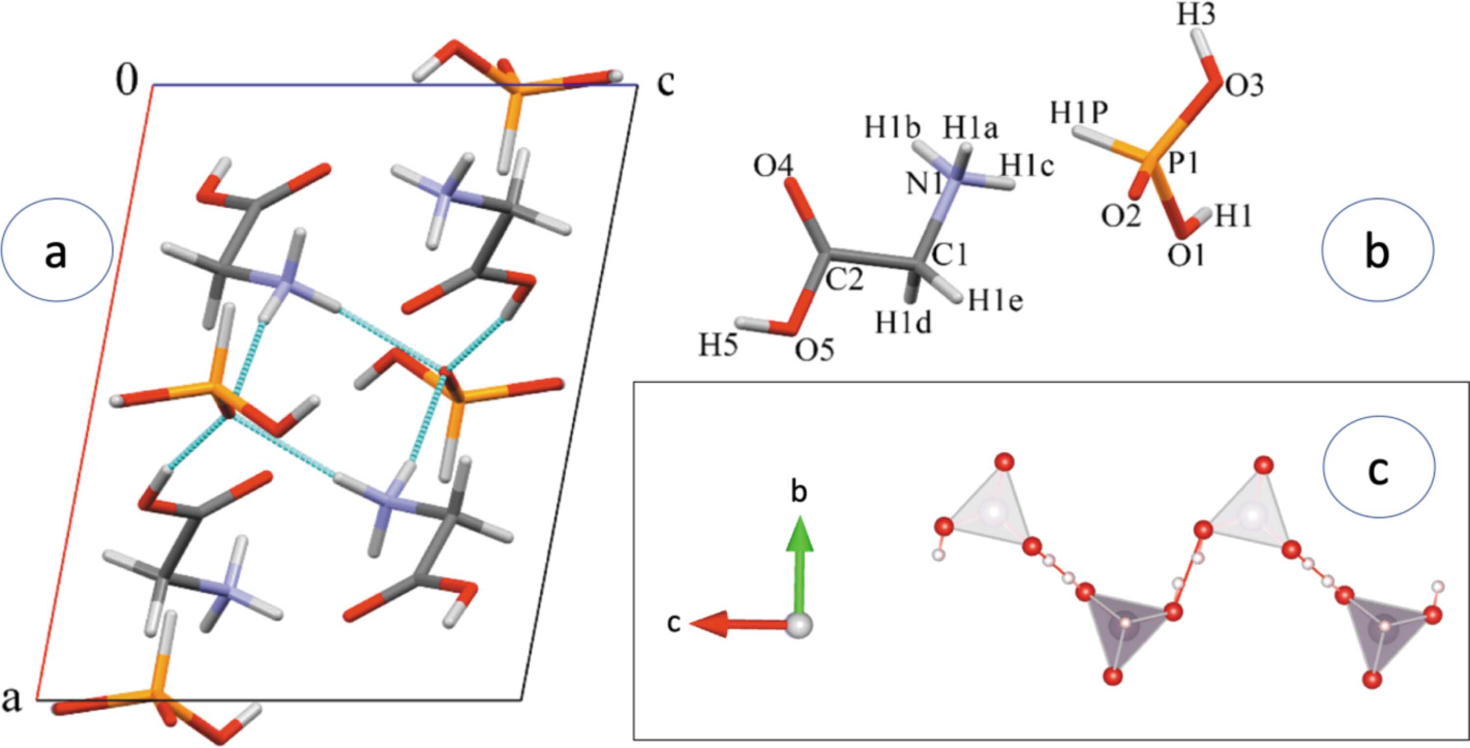 (IUCr) Phase transition in an organic ferroelectric: glycinium ...