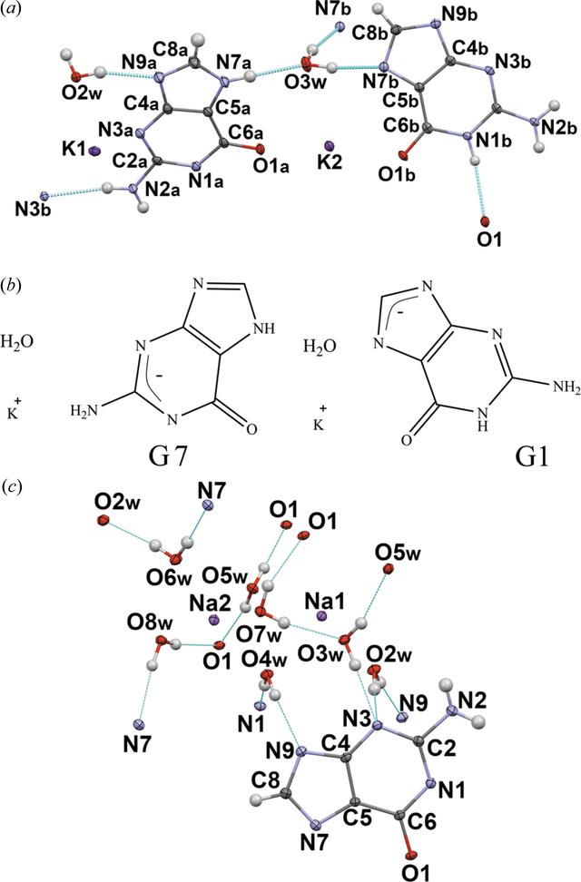 iucr-a-new-guaninate-hydrate-k-c-5-h-4-n-5-o-h-2