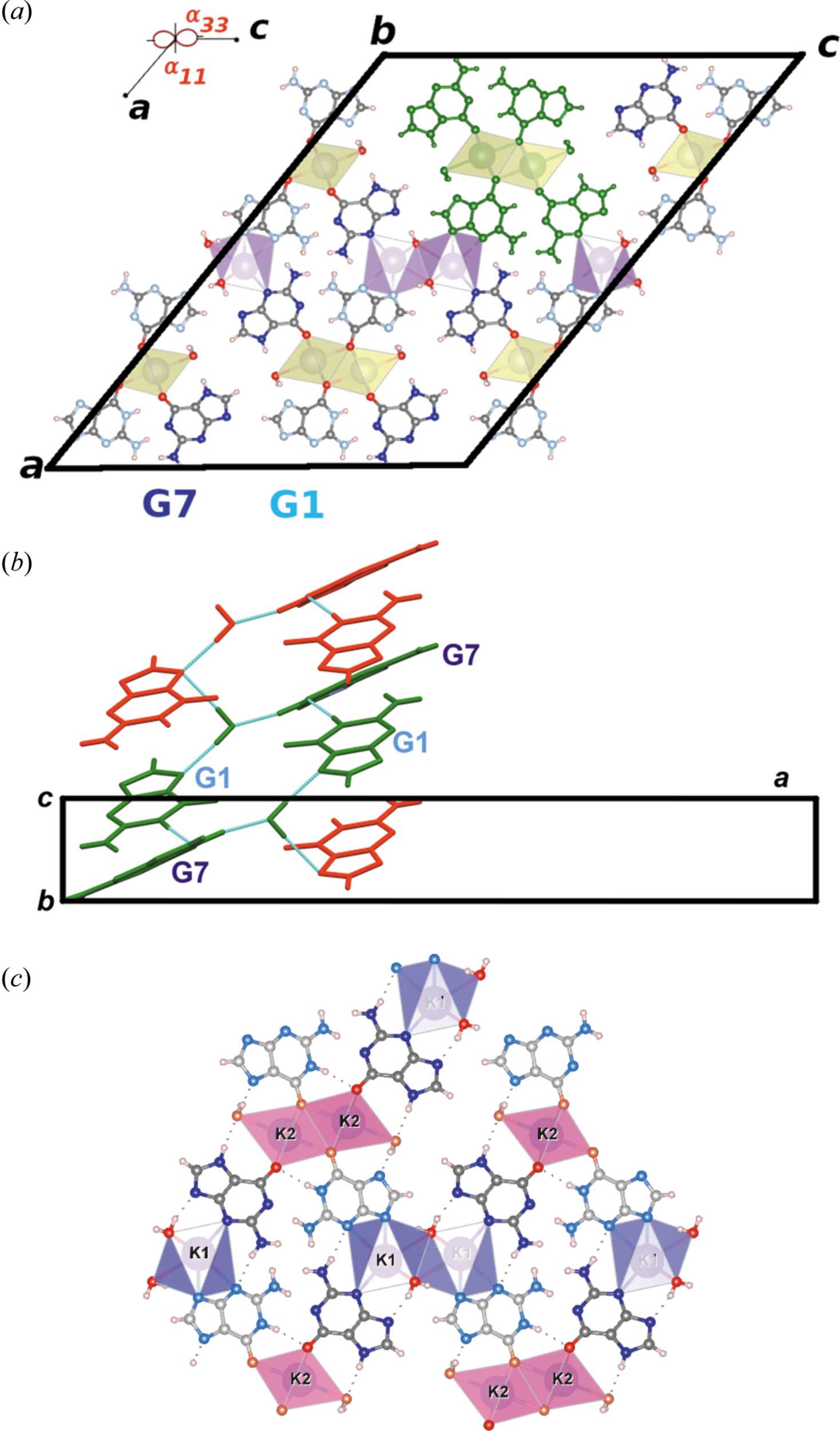 (IUCr) A New Guaninate Hydrate K + ·C 5 H 4 N 5 O − ·H 2