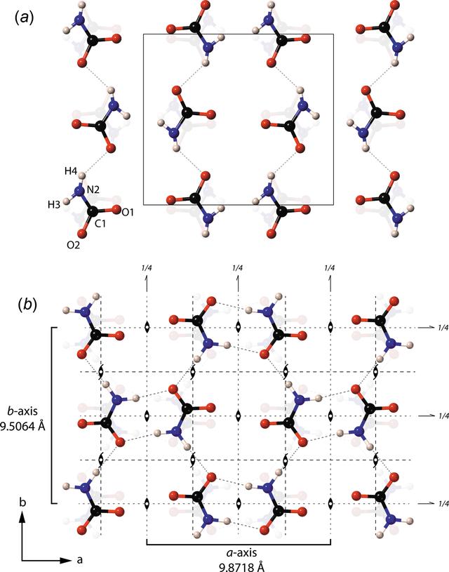 [Figure 12]