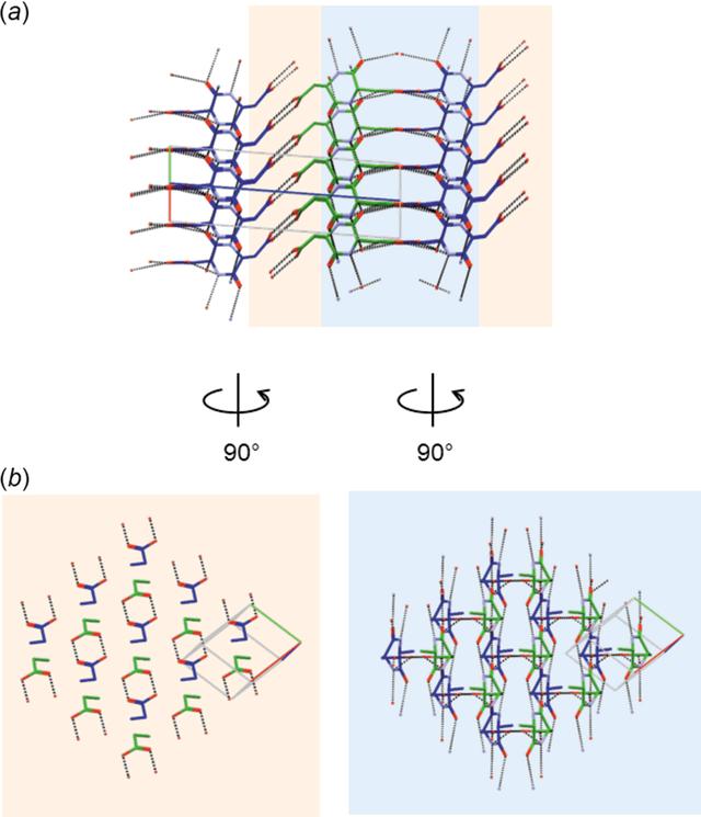 [Figure 6]