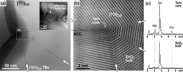 [Figure 2]