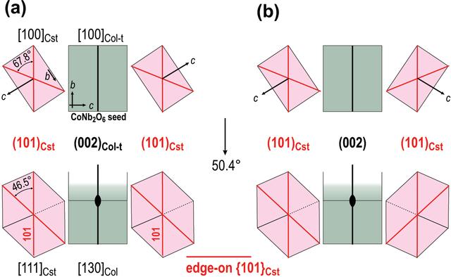 [Figure 6]