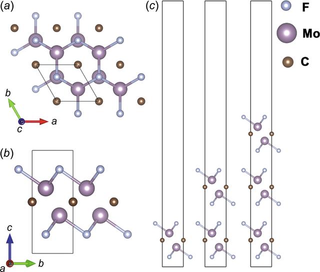 [Figure 1]