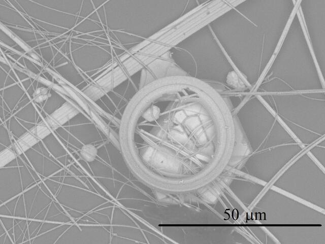 (iucr) Ring Formation Of Transition Metal Trichalcogenide Tase 3 Using 