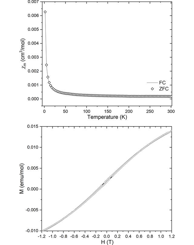 [Figure 7]