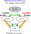 [Figure 6]