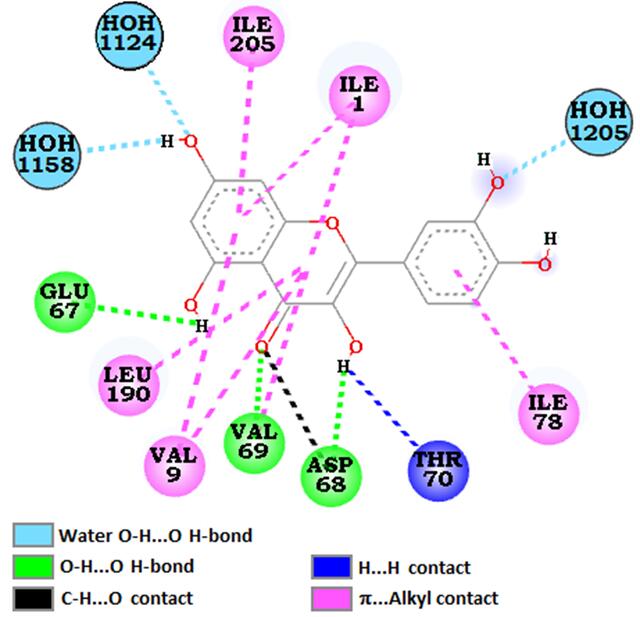[Figure 12]