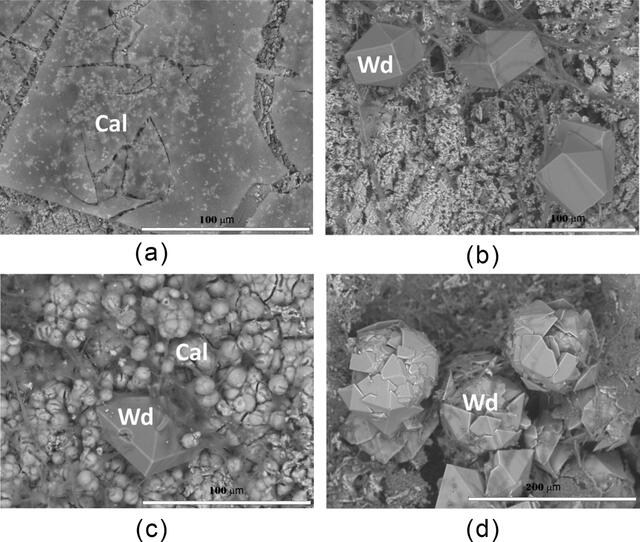 [Figure 15]