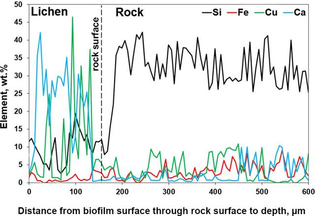 [Figure 6]