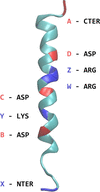 [Figure 2]