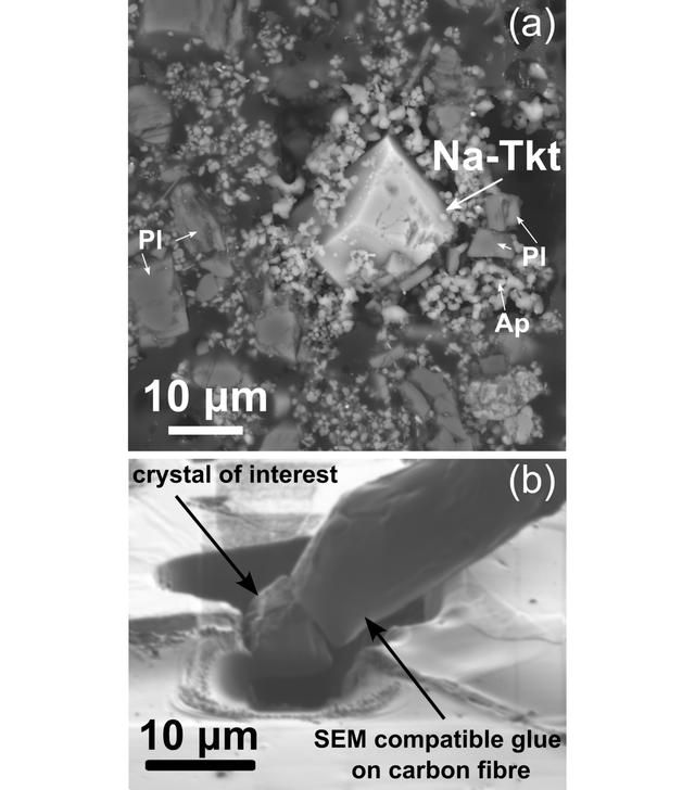 [Figure 1]