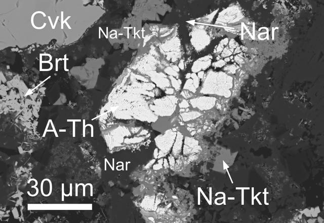 [Figure 3]