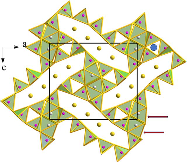 [Figure 1]