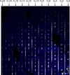 [Figure 4]