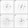 [Figure 1]