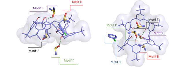 [Figure 3]