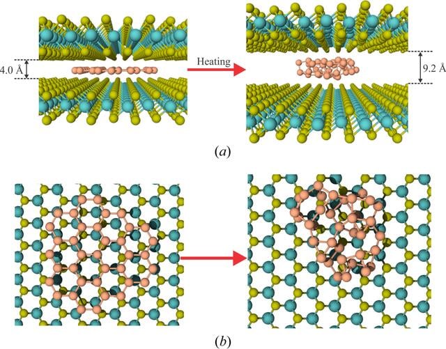 [Figure 5]