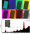 [Figure 11]