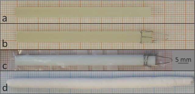 [Figure 2]