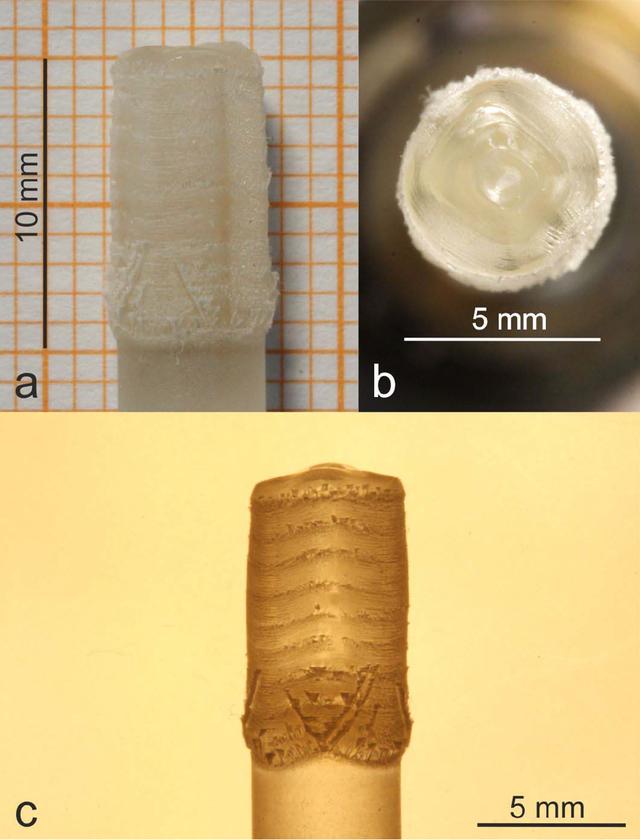 [Figure 4]