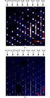 [Figure 5]
