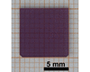 [Figure 1]