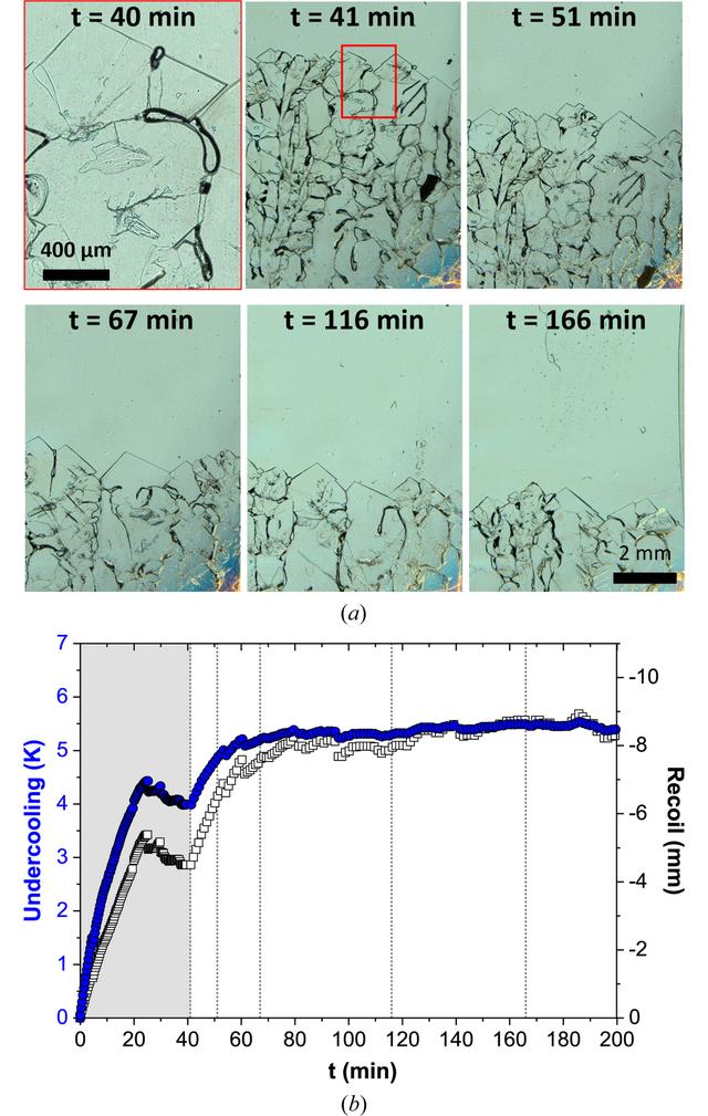 [Figure 2]