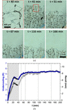 [Figure 2]