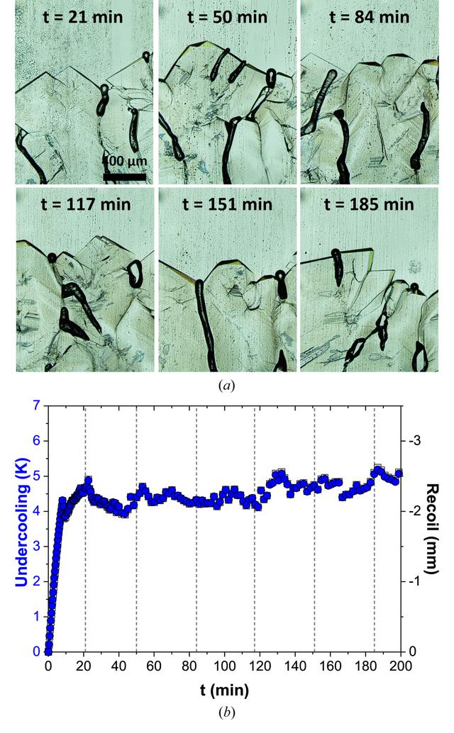 [Figure 3]