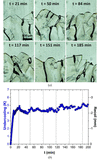 [Figure 3]